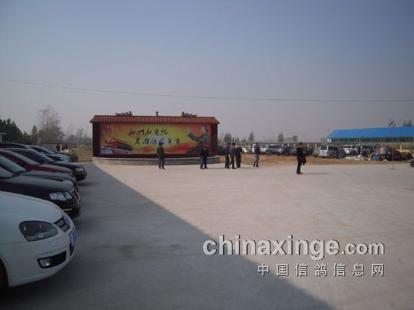 河南紅鼎公棚最新公告，自然美景探索之旅邀請(qǐng)啟動(dòng)