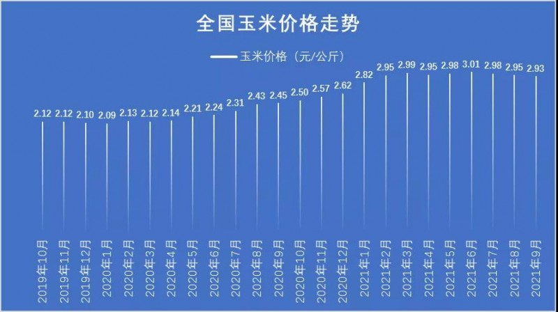 科技助力洞悉玉米未來市場(chǎng)趨勢(shì)，今年玉米價(jià)格行情分析預(yù)測(cè)