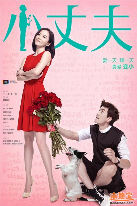 夫妻演員表深度探究，價(jià)值與影響力的探討