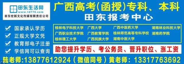 廣西田東最新職位招聘，職場人的首選目的地