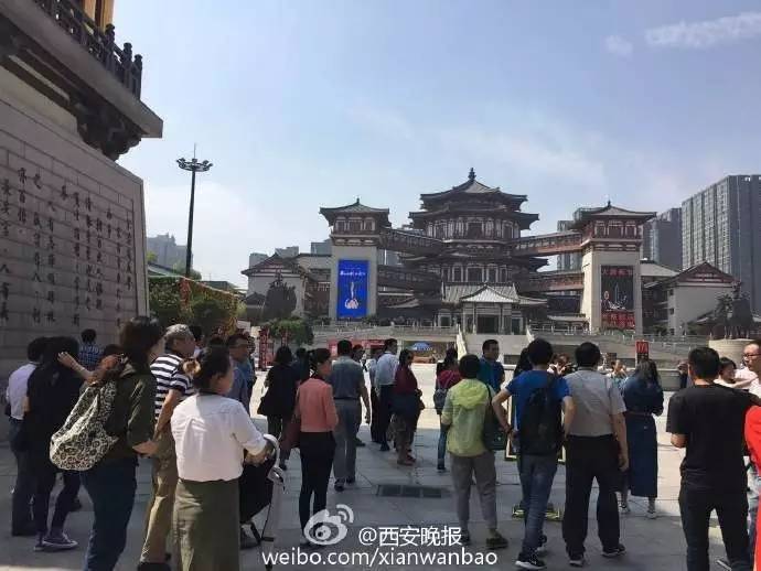 大唐西市最新動(dòng)態(tài)，自然美景探尋之旅