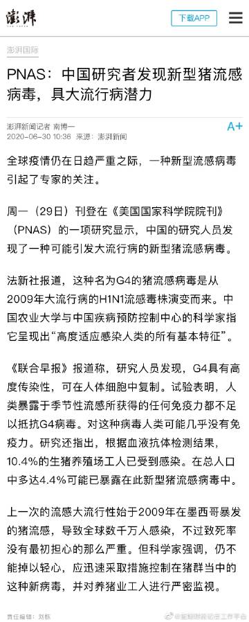 新型豬流感情動(dòng)態(tài)更新，最新消息匯總