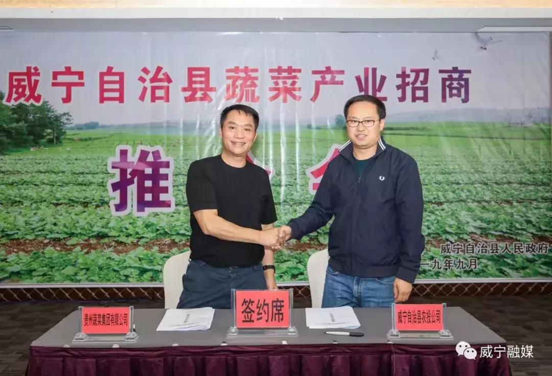威寧雙龍鎮(zhèn)最新動態(tài)，小巷深處的獨特風味
