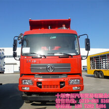 最新款輕量化貨車價格，路上的伙伴與溫情陪伴