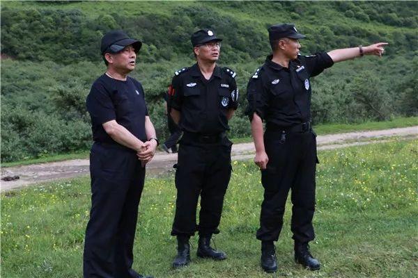 岷縣公安網(wǎng)新動(dòng)態(tài)，力量變革與成就之路的勵(lì)志篇章