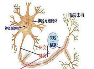 運(yùn)動(dòng)神經(jīng)元病最新治療，自然美景下的治愈之旅