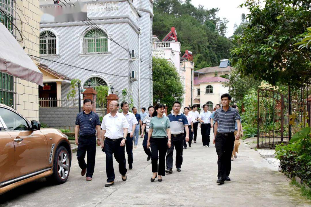 定南徐美清最新動態(tài)，自然美景探索之旅，尋找內(nèi)心平和與喜悅的旅程