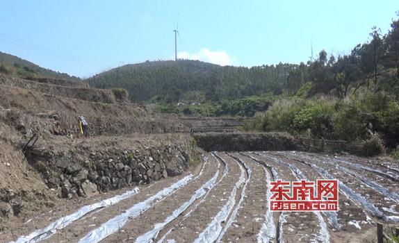 莆田坪洋村新貌，變化中的村莊，自信與成就感的源泉最新消息