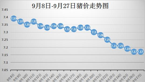 甘肅豬價最新動態(tài)，興旺豬事，溫暖人心