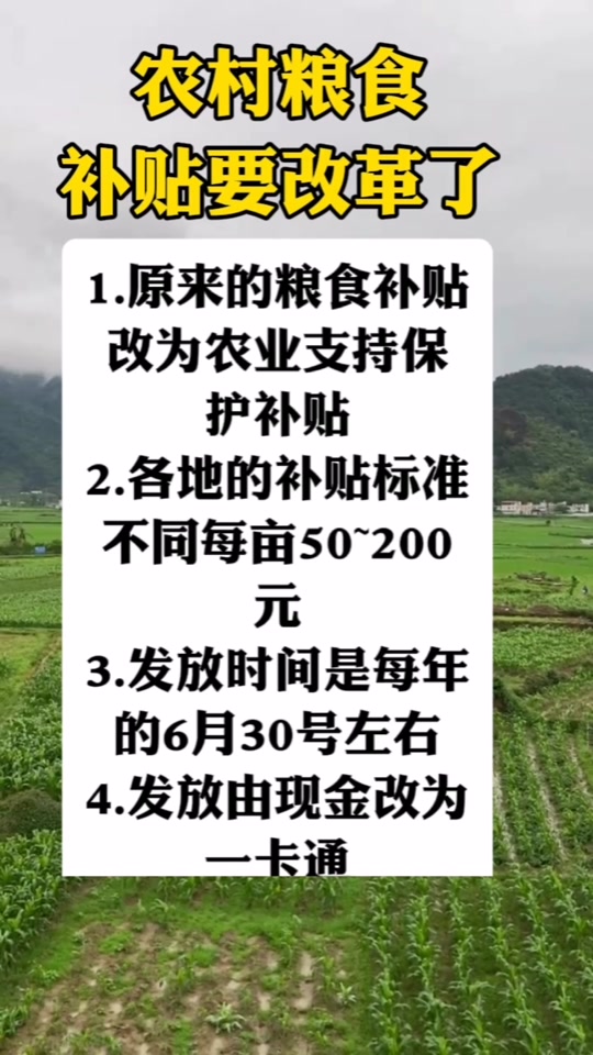 關(guān)于糧食直補(bǔ)的最新消息，展望2025年的政策動(dòng)向